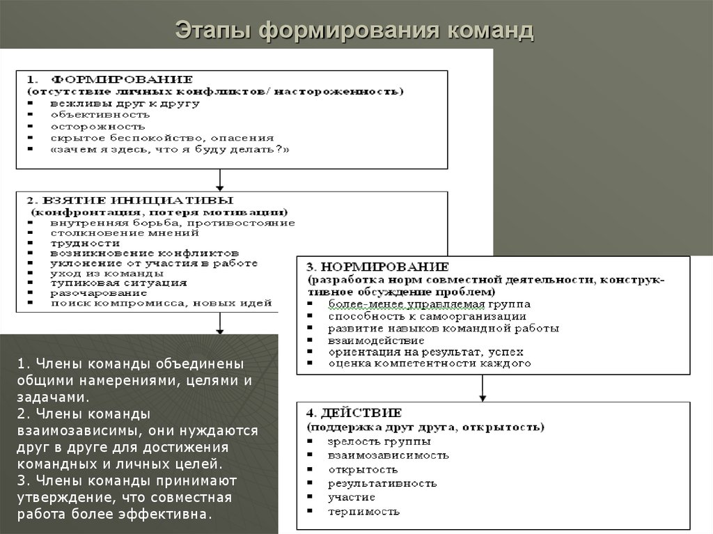 Этапы формирования команды проекта