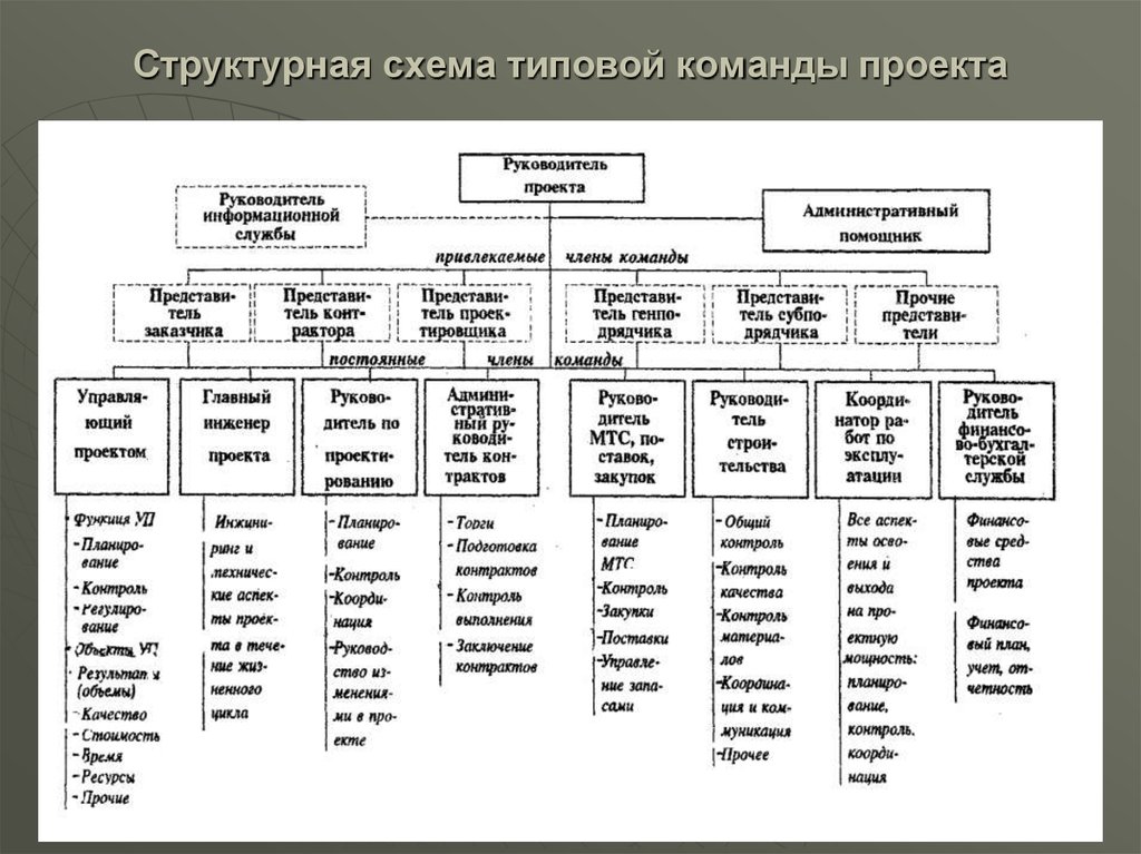 Команда проекта состоит из