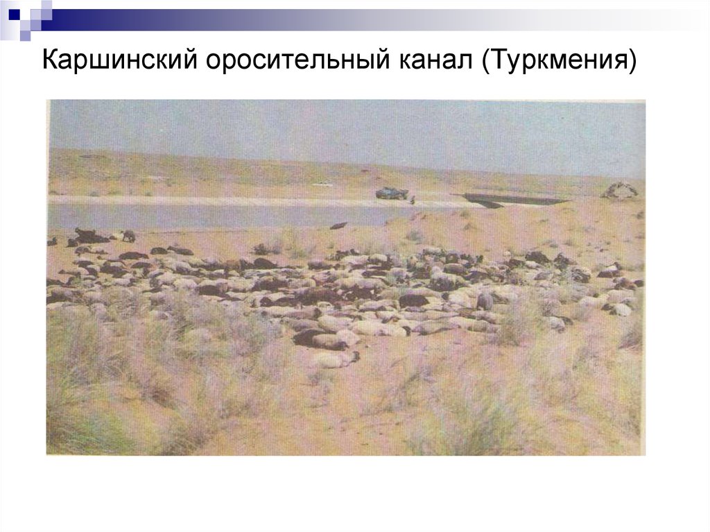 Каршинский оросительный канал (Туркмения)