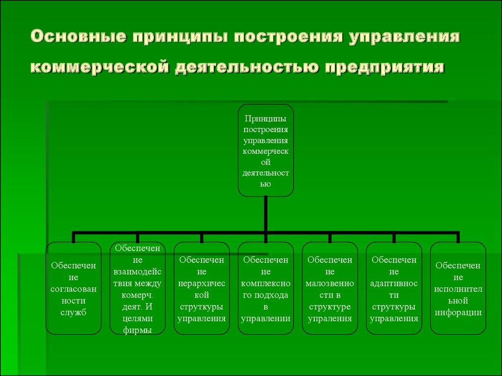 Организация деятельность фирмы. Принципы работы коммерческих предприятий. Функции управление коммерческой деятельностью. Структура коммерческой деятельности торгового предприятия. Принципы построения управления коммерческой.