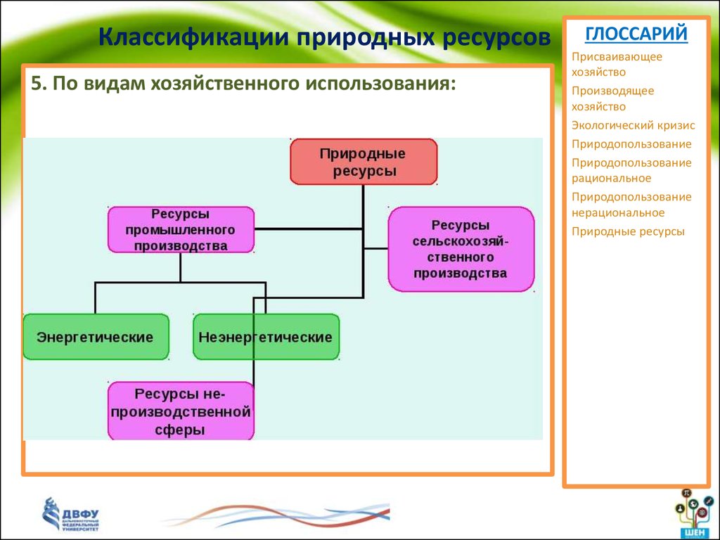 Классификатор ресурсов. Классификация природных ресурсов. Классификация природных ресурсов по видам. Хозяйственная классификация ресурсов. Классификация природных ресурсов по виду ресурсов.