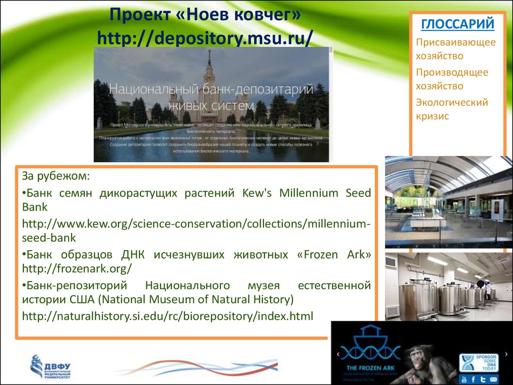 Проект «Ноев ковчег» http://depository.msu.ru/