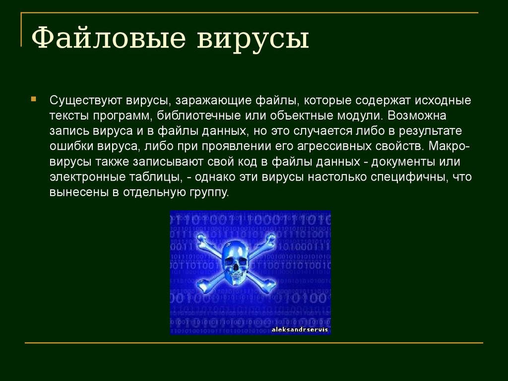 Файловый вирус. Файловые вирусы. Файл с вирусом. Файловые вирусы заражают файлы. Файловые вирусы это в информатике.