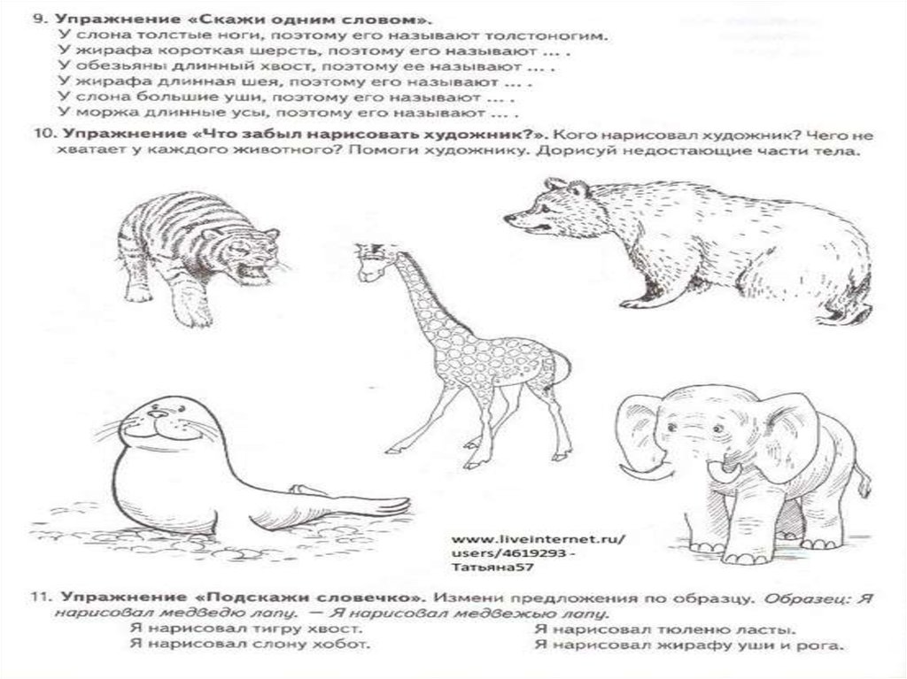 Животные жарких районов земли презентация 6 класс 8 вид