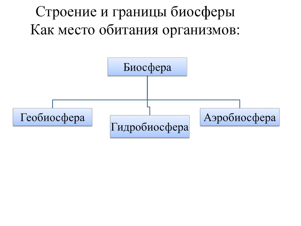 Распространение организмов в биосфере. Строение и границы биосферы как место обитания организмов. Биосфера Ноосфера Техносфера. Распределение жизни в биосфере. Границы биосферы рисунок.