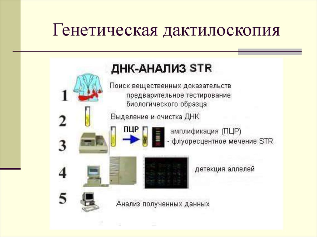 Дактилоскопия как метод получения и анализа информации презентация