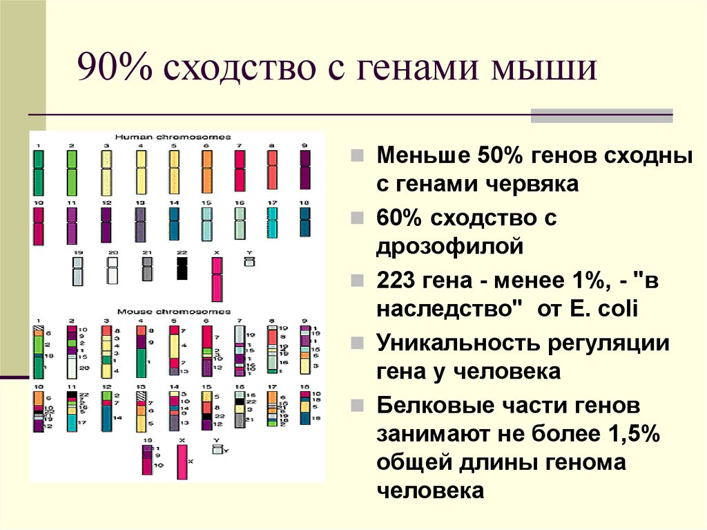 Количество генов