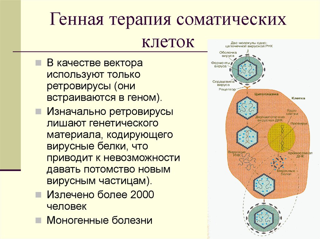 Генная терапия