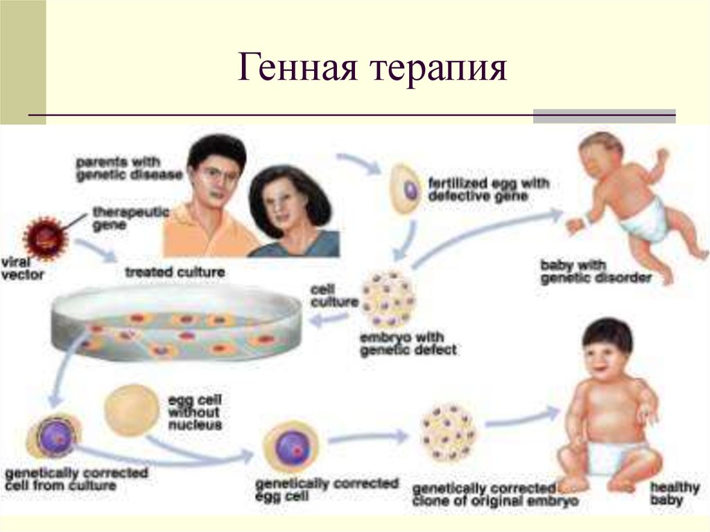 Генная терапия картинки