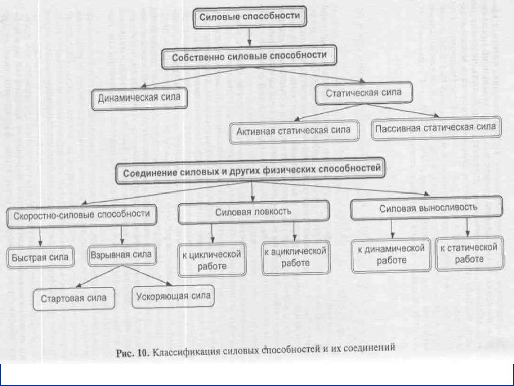 Сила скоростно силовые способности