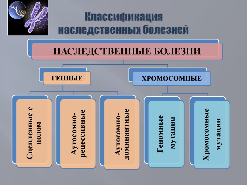 Наследственные болезни и их классификация презентация - 80 фото