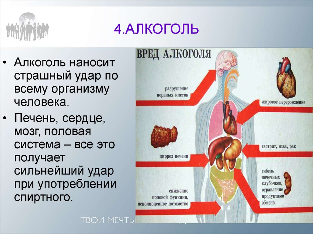 Презентация о вреде алкоголя для школьников