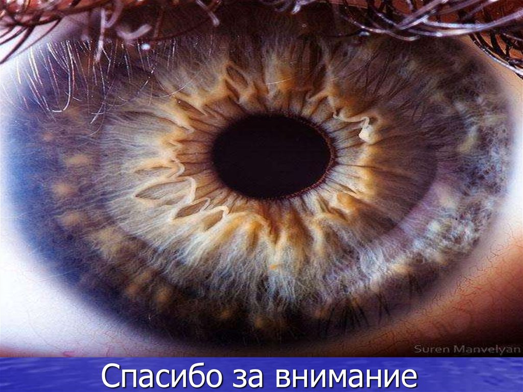 Спасибо за внимание