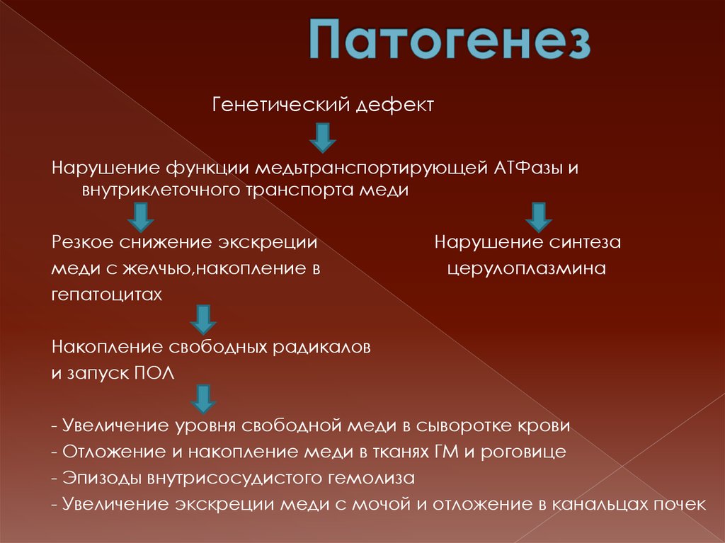 Обмен меди. Патогенез Вильсона Коновалова. Этология болезни Вильсона Коновалова. Болезнь Вильсона Коновалов патогенез. Болезнь Вильсона Коновалова этиология и патогенез.