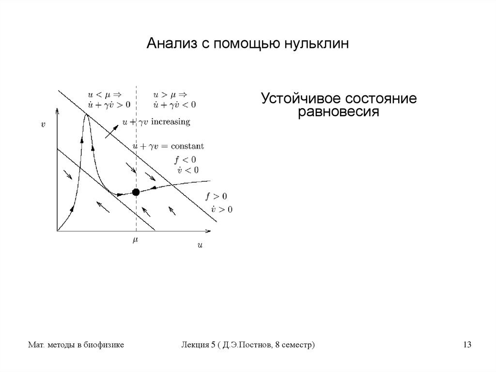 Анализ с помощью нульклин