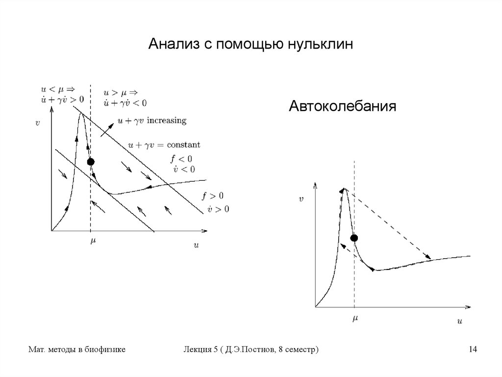 Анализ с помощью нульклин