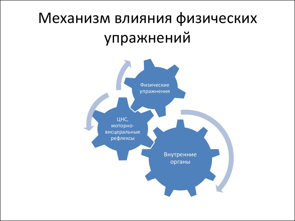 Механизмы влияния. Механизм физических упражнений. Механизм действия ЛФК. Механизмы тонизирующего действия физических упражнений.