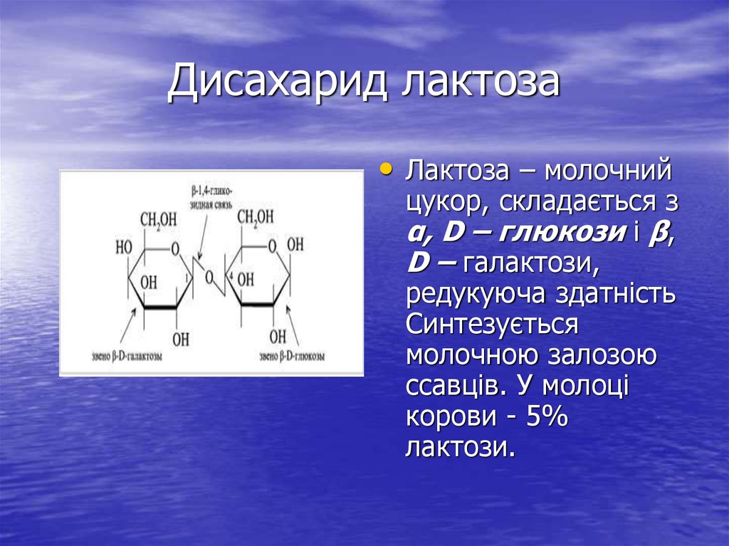 Лактоза нахождение в природе