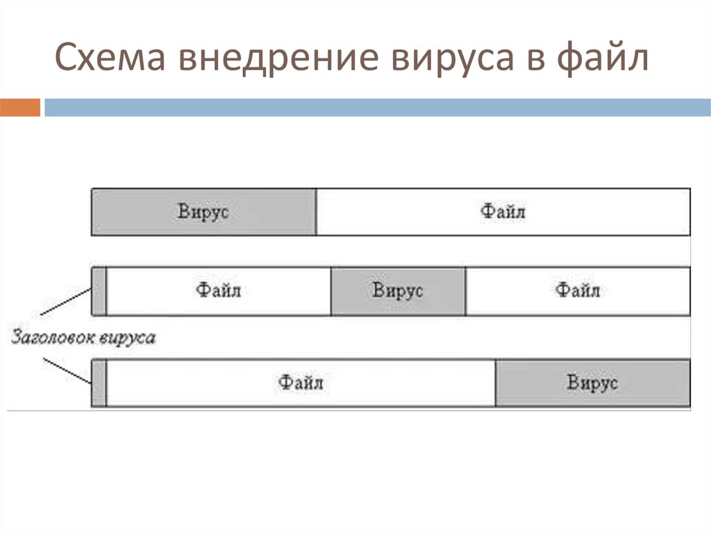 Опишите схему функционирования загрузочного вируса кратко