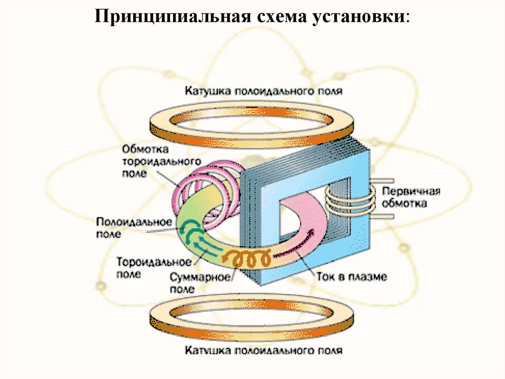 Тороидальная камера с магнитными катушками рисунок