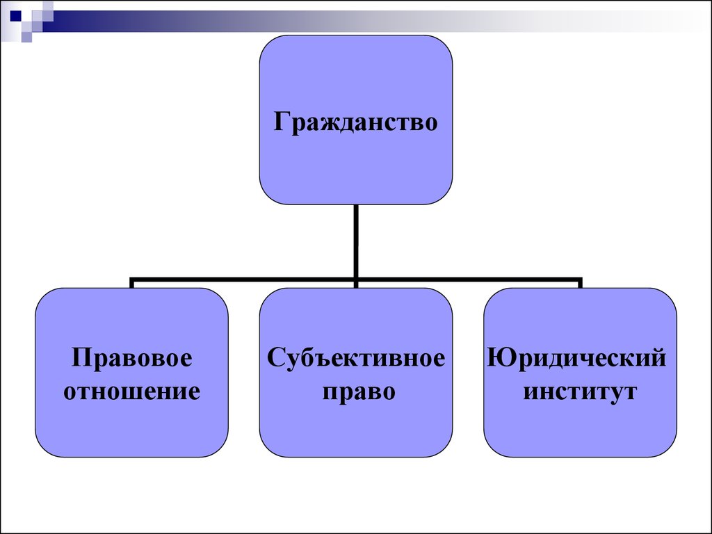 Отношение гражданства. Конституционно-правовая природа гражданства. Гражданство правовые отношения. Юридическая природа гражданства РФ. Гражданство как субъективное право.