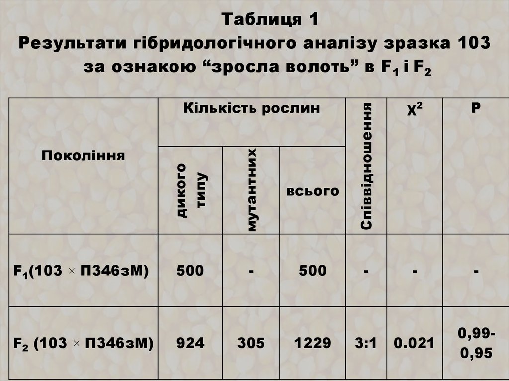 Таблиця 1 Результати гібридологічного аналізу зразка 103 за ознакою “зросла волоть” в F1 і F2