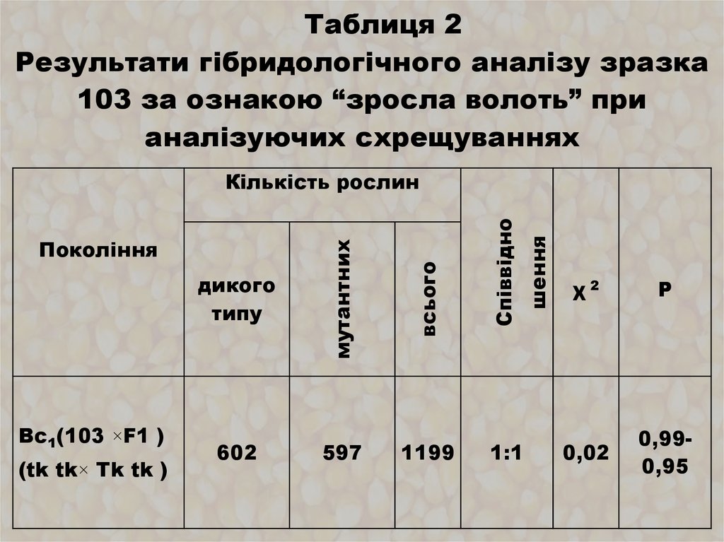 Таблиця 2 Результати гібридологічного аналізу зразка 103 за ознакою “зросла волоть” при аналізуючих схрещуваннях