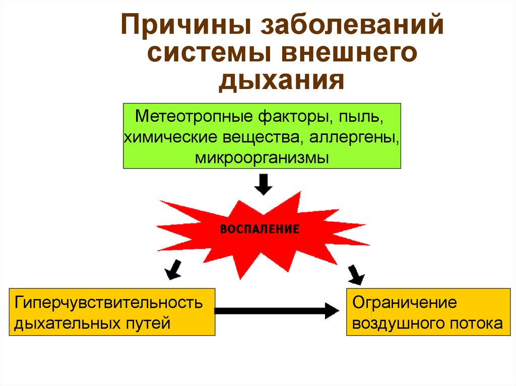 Патофизиология внешнего дыхания презентация