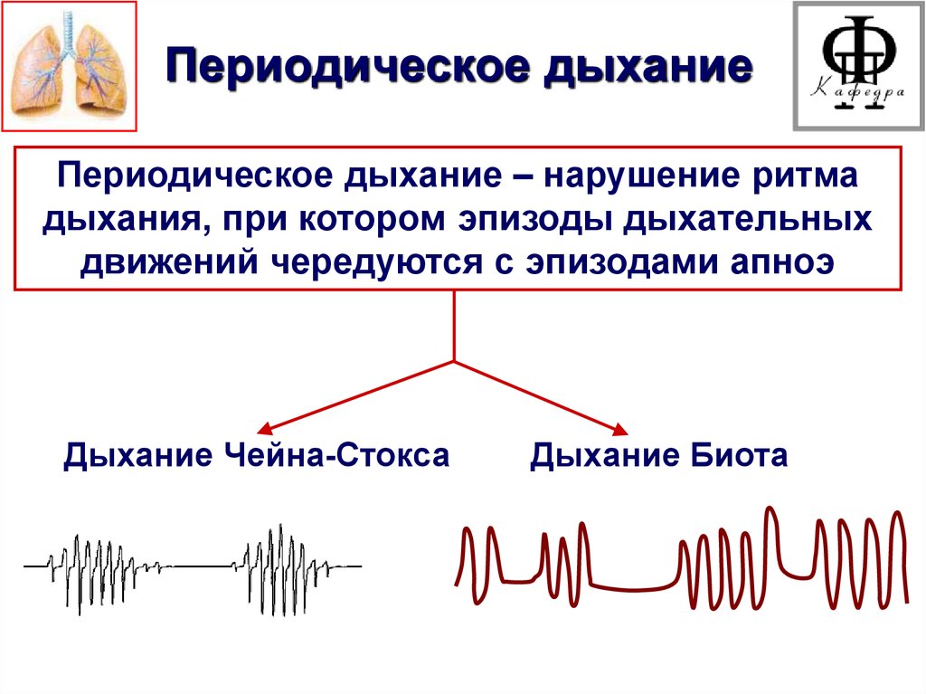 Диспноэ дыхание