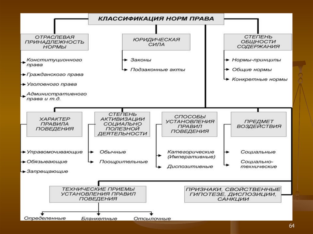 Таблица виды норм. Отраслевая классификация норм права. Классификация правовых норм по отраслевой принадлежности. Классификация видов правовых норм специальные нормы. Основание классификации норм права таблица.