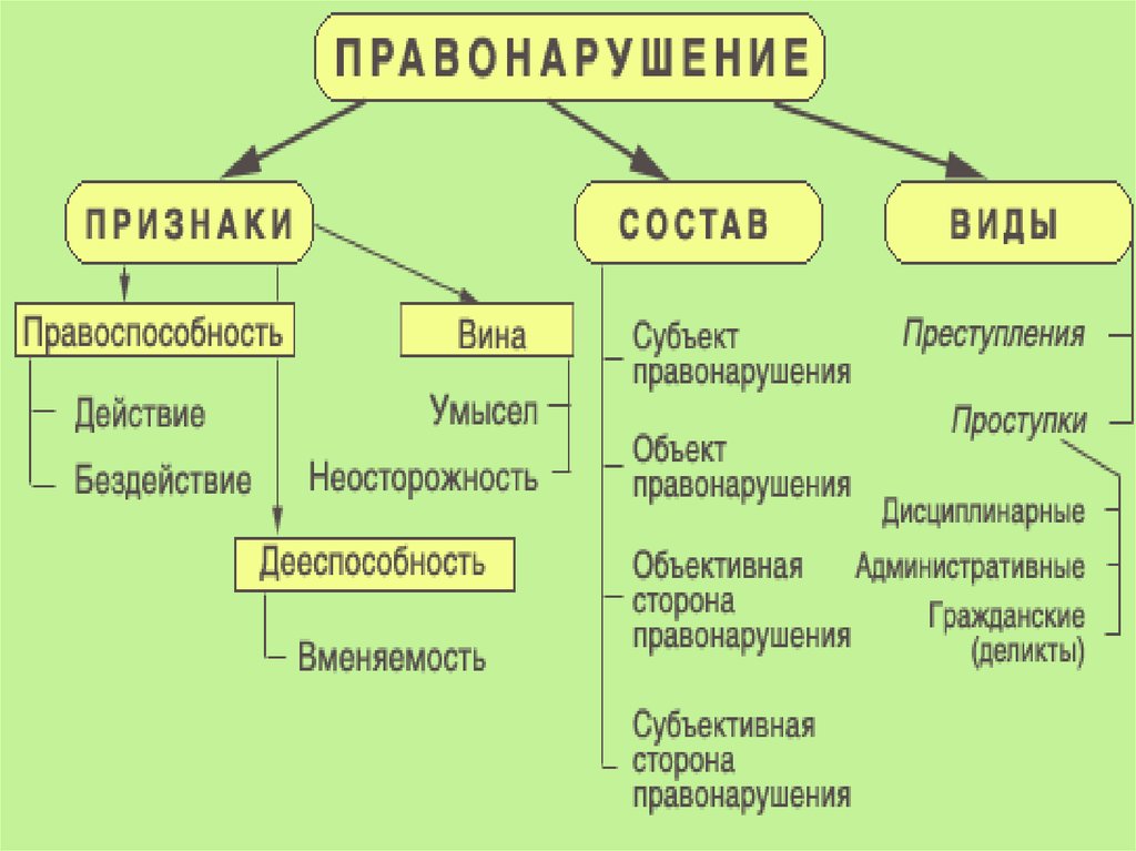 Виды правонарушений схема