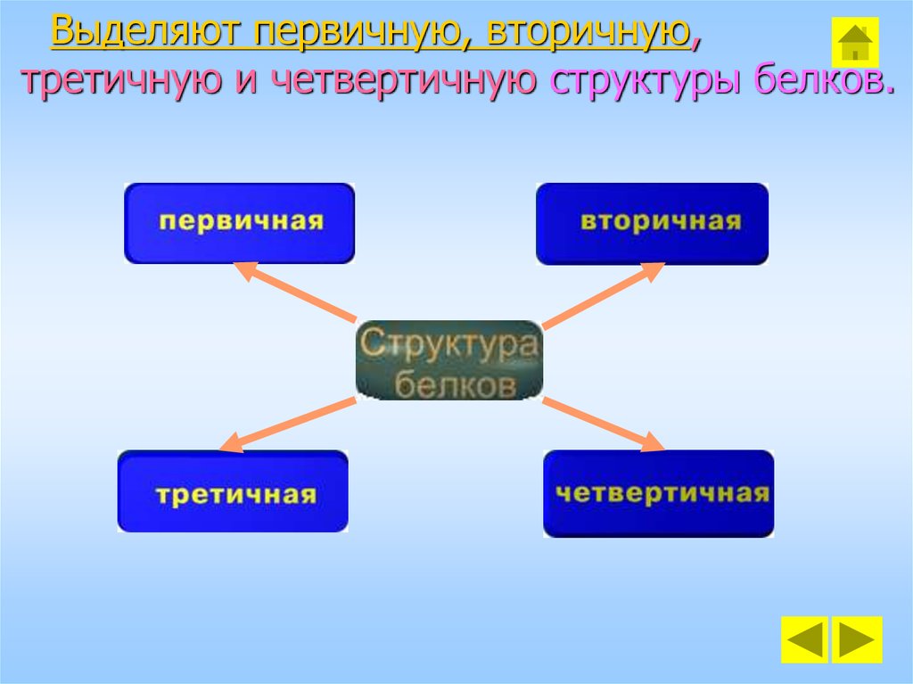 Белки выделяют. Углеводы имеют первичную вторичную третичную структуру. Источники информации первичные вторичные третичные. Первичный вторичный третичный и четвертичный по биологии. Первичные вторичные и третичные литературные источники.