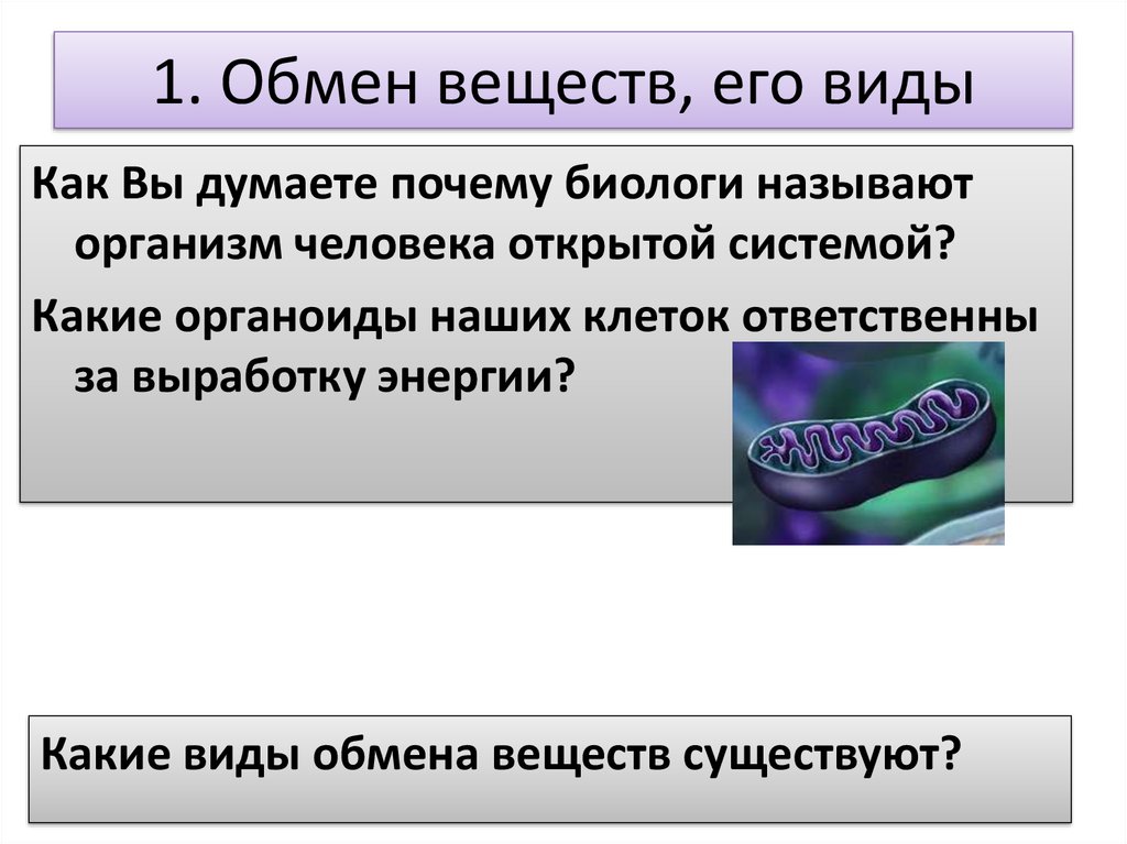 Причина обмена. Виды обменов в организме. Обмен веществ и его виды. Обменом веществ в организме называют. Виды обмена веществ в организме человека.