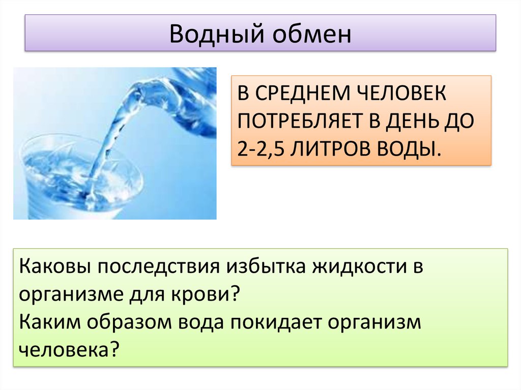 В чем заключается роль воды. Обмен воды в организме. Водный обмен в организме. Водный обмен. Обмен воды в организме схема.