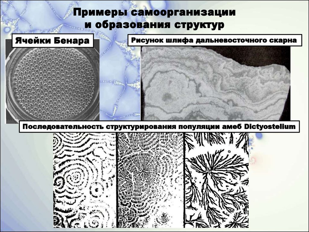 Самоорганизация в природе. Примеры самоорганизации. Явления самоорганизации примеры. Примером самоорганизации является. Примеры по самоорганизации.