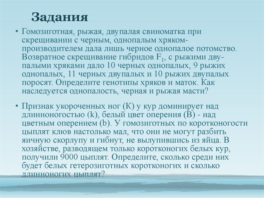 у кур оперенные ноги доминируют над голыми