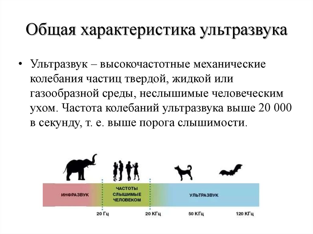 Какая частота колебаний ультразвука