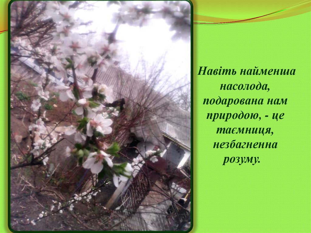 Навіть найменша насолода, подарована нам природою, - це таємниця, незбагненна розуму.  