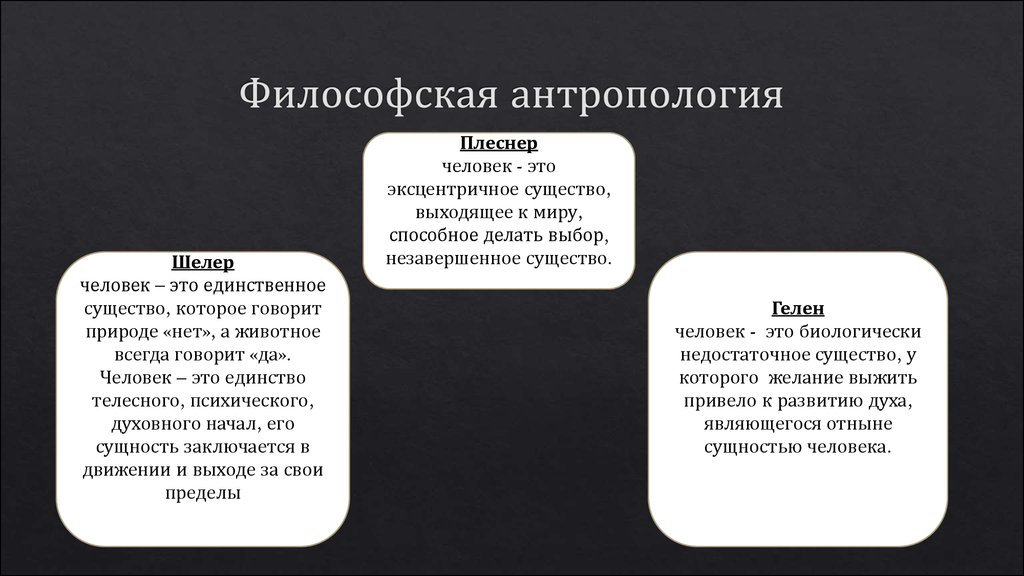 Антропология учение о человеке