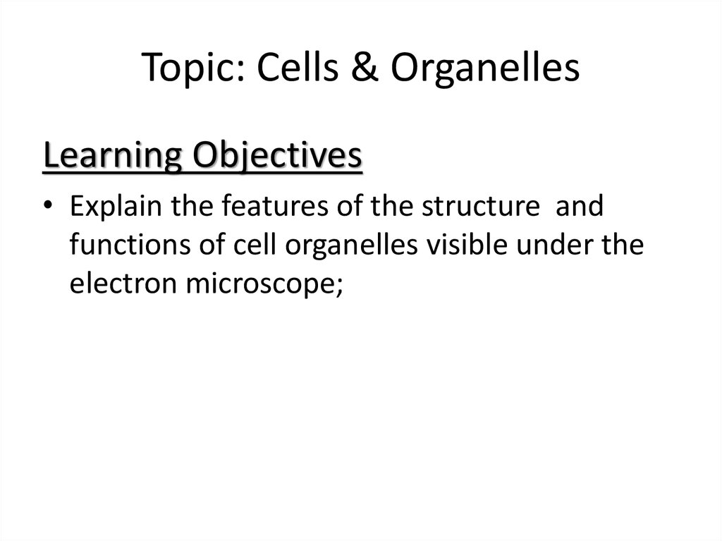 Cells And Organelles Prezentaciya Onlajn