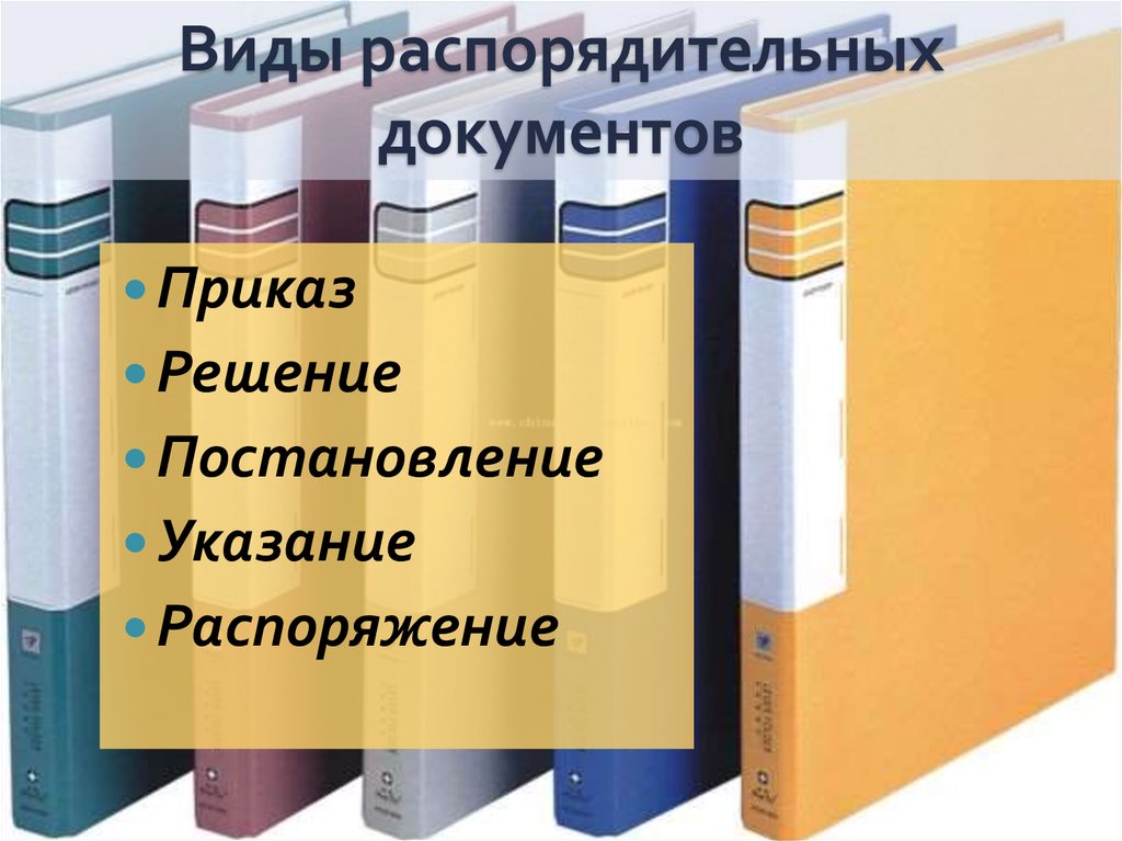 Презентация организационно распорядительные документы