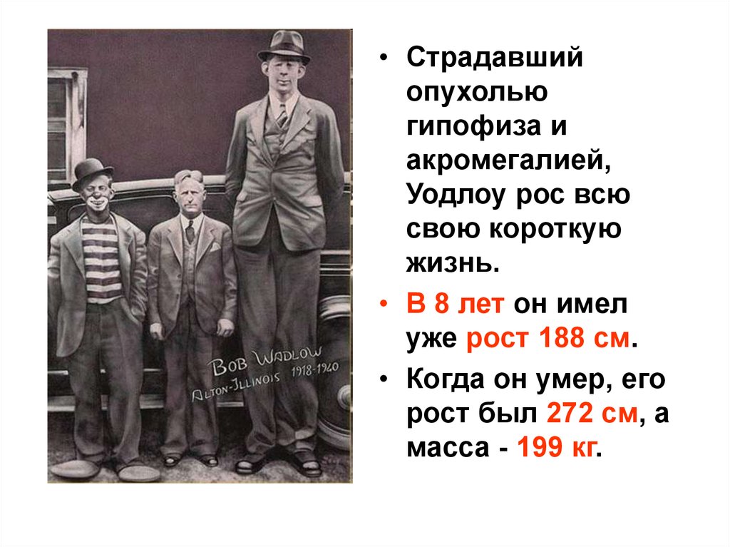 Имеют рост. 272 Рост Роберт Уодлоу. Рост Роберта Уодлоу вес. Роберт Уодлоу с отцом. Роберт Уодлоу рост причина смерти.