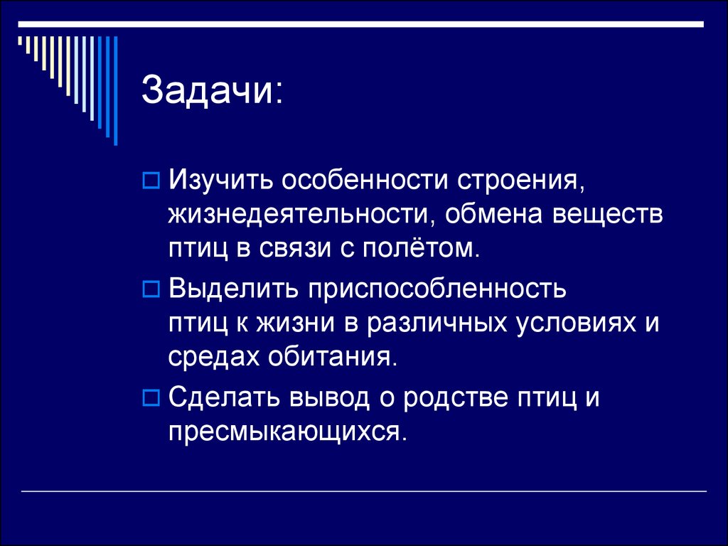 Класс птицы - презентация онлайн