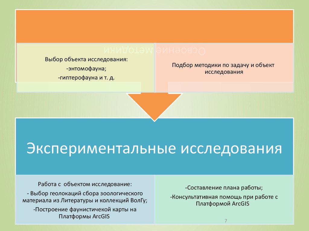 Изучение объекта поиска. Изучение объекта поимеру.