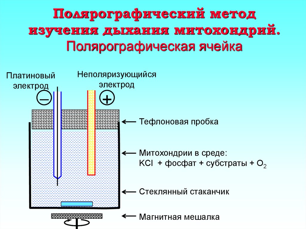 Схема полярографического анализа