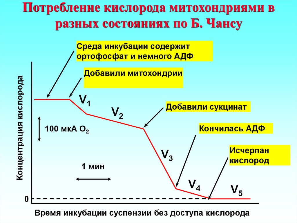 Увеличение потребления кислорода