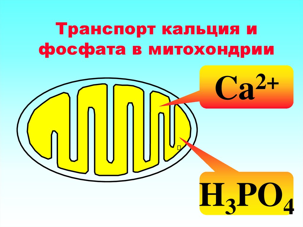 Изобразить 30