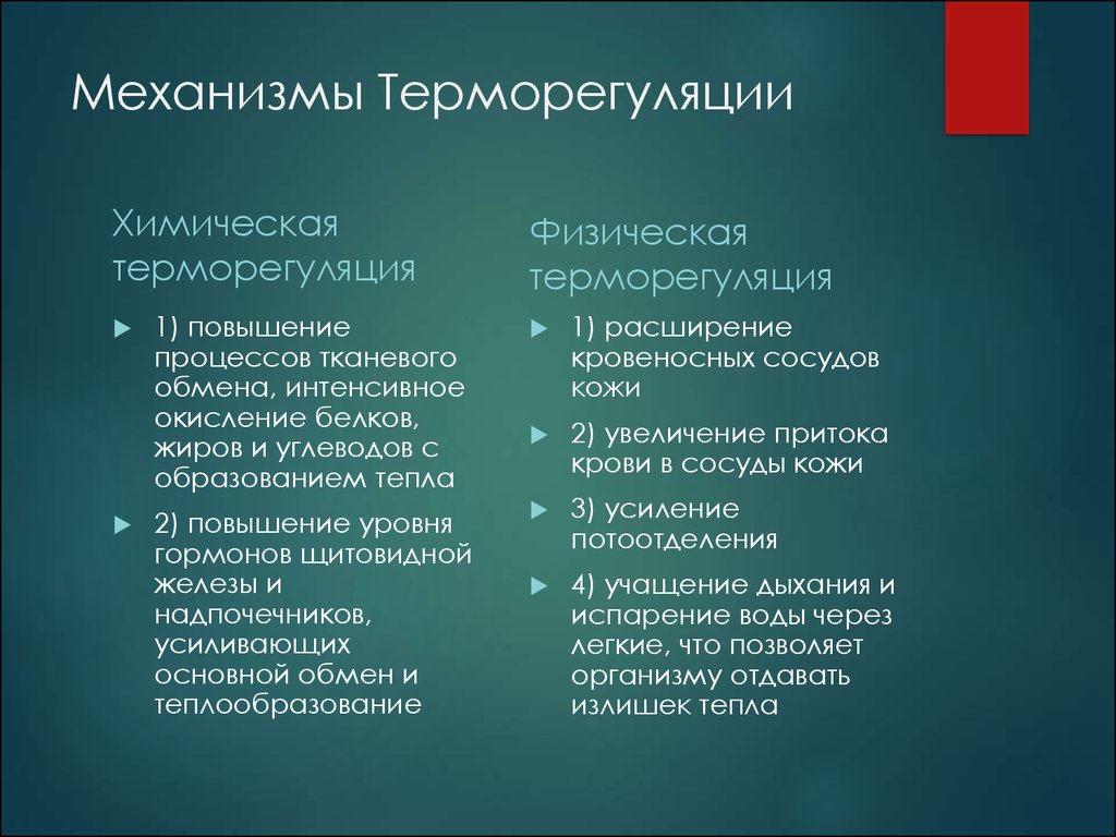 Схема механизма терморегуляции