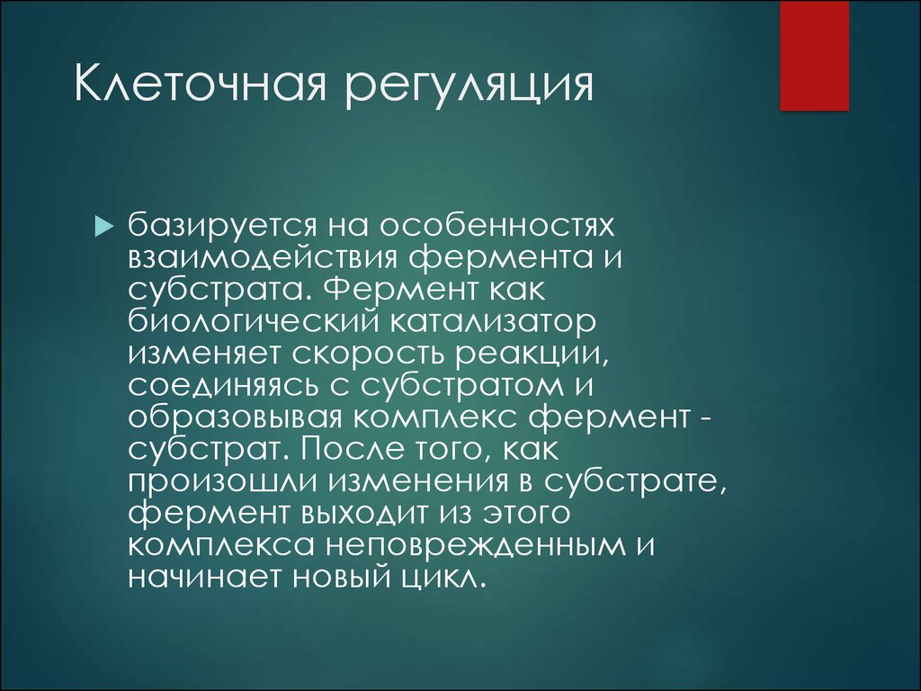 Регуляция клеток. Клеточная регуляция. На чем основана регуляция клетки ферментами.