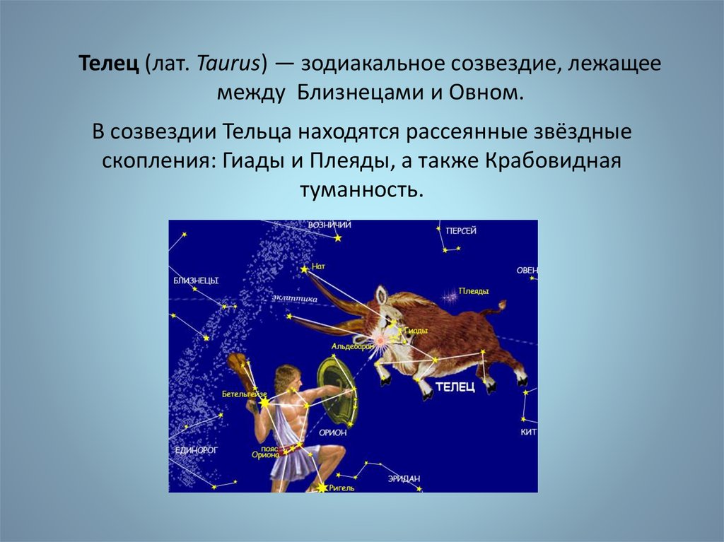 Созвездие тельца презентация астрономия